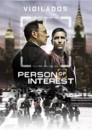 donde ver person of interest