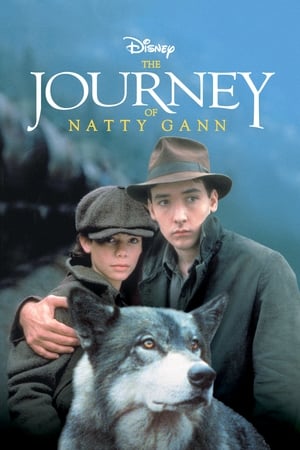 donde ver natty gann