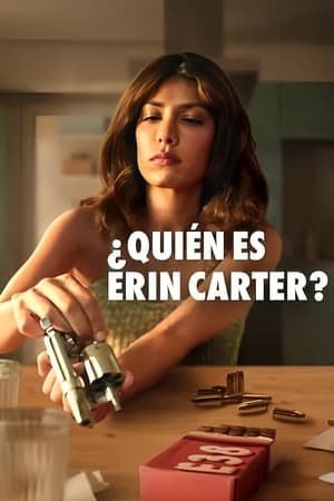 donde ver ¿quién es erin carter?