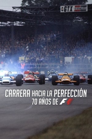 donde ver race to perfection