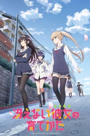 donde ver saekano♭ how to raise a boring girlfriend.flat