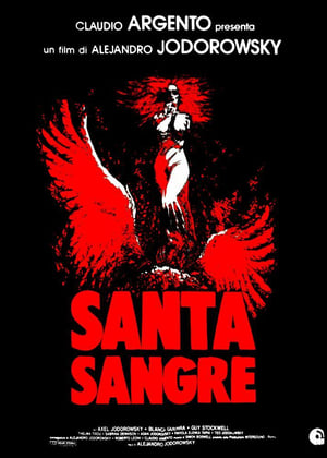 donde ver santa sangre