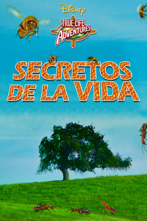 donde ver secretos de la vida