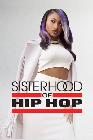 donde ver sisterhood of hip hop