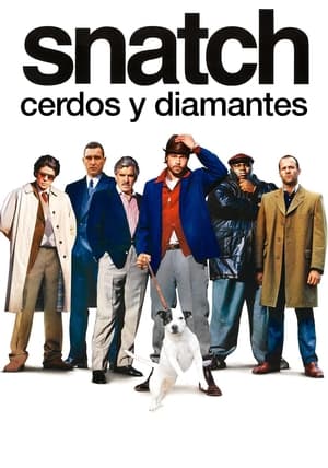 donde ver snatch, cerdos y diamantes