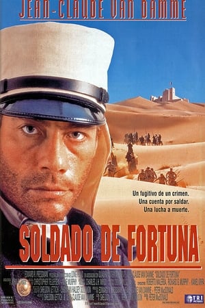 donde ver soldado de fortuna