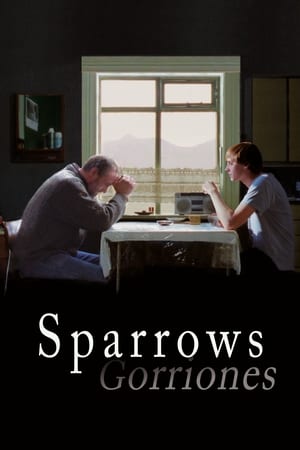 donde ver sparrows (gorriones)