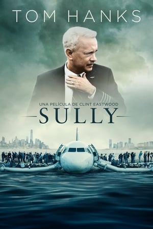 donde ver sully: miracle on the hudson