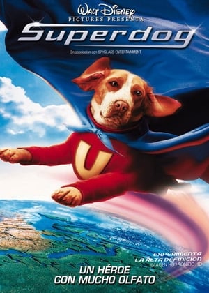 donde ver superdog