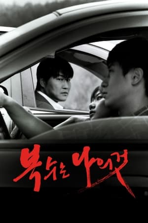 donde ver sympathy for mr. vengeance