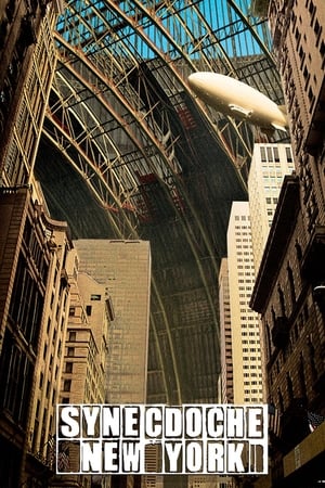 donde ver synecdoche new york