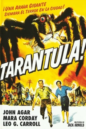 donde ver tarántula (1977)