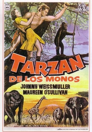 donde ver tarzán de los monos