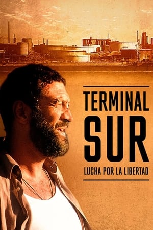 donde ver terminal sud