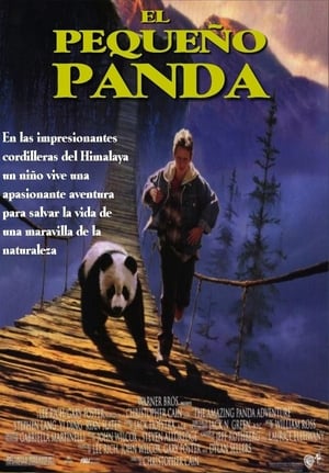 donde ver the amazing panda adventure