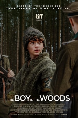 donde ver the boy in the woods