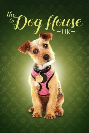 donde ver the dog house