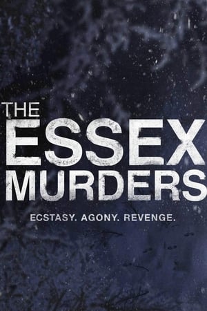 donde ver the essex murders