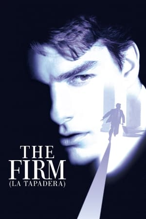 donde ver the firm (la tapadera)