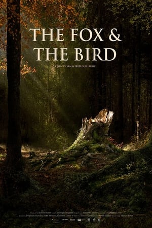 donde ver the fox and the bird