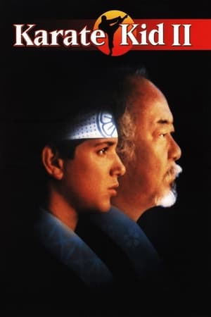 donde ver karate kid ii: la historia continúa