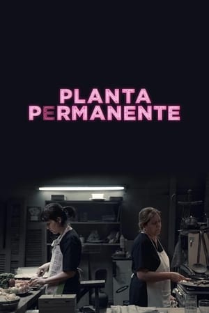 donde ver planta permanente