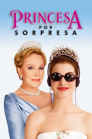 donde ver the princess diaries