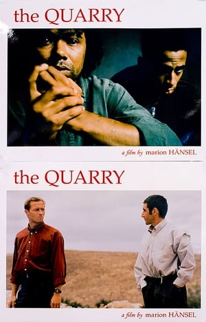 donde ver the quarry