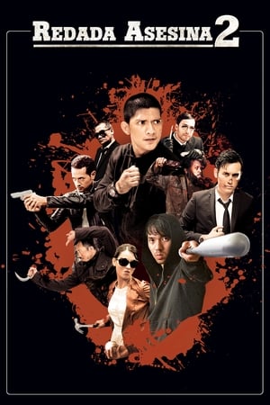 donde ver the raid 2