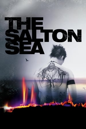 donde ver the salton sea