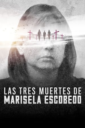 donde ver las tres muertes de marisela escobedo