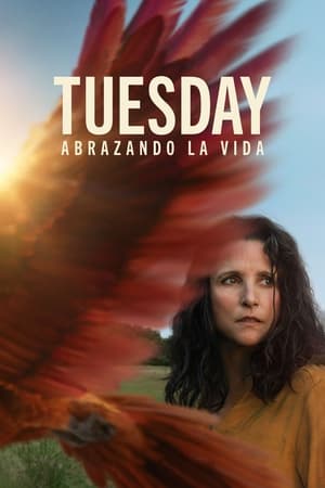 donde ver tuesday