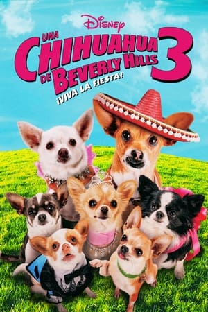 donde ver un chihuahua en beverly hills 3