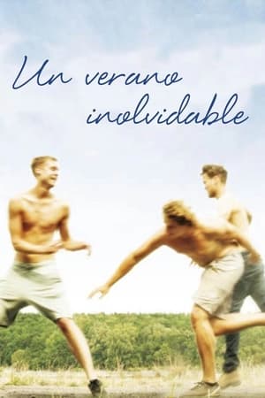 donde ver un verano inolvidable (2014)