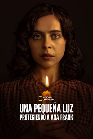 donde ver una pequeña luz: protegiendo a ana frank