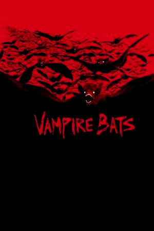 donde ver vampire bats