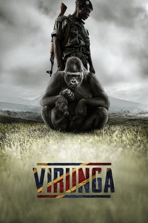 donde ver virunga