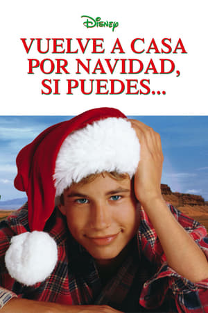 donde ver vuelve a casa por navidad... si puedes