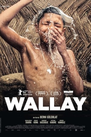 donde ver wallay