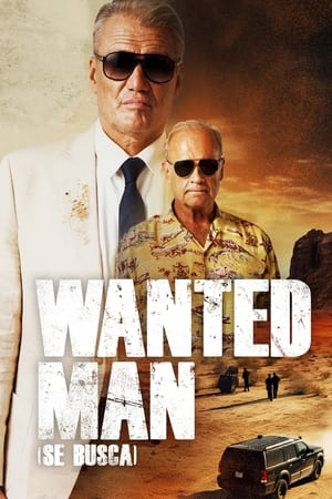 donde ver wanted man (se busca)