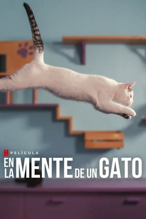 donde ver en la mente de un gato