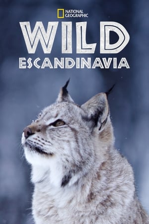 donde ver wild escandinavia