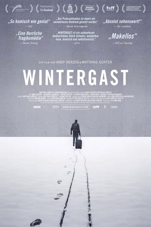 donde ver wintergast