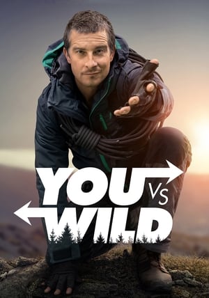 donde ver you vs. wild