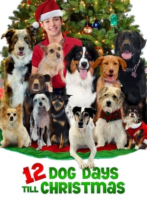 donde ver 12 días perros para navidad