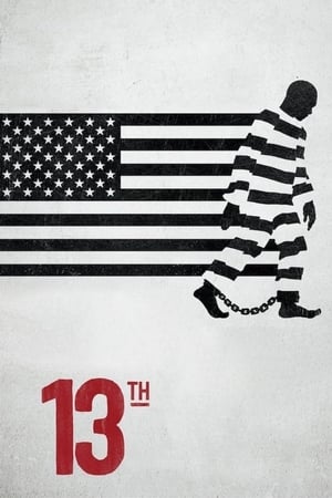 donde ver 13th