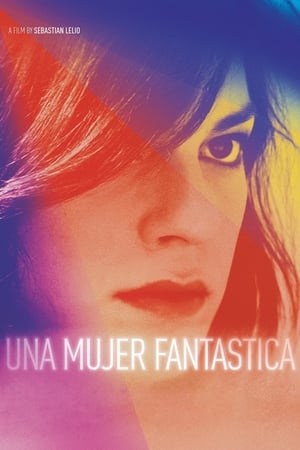 donde ver a fantastic woman