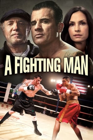 donde ver a fighting man