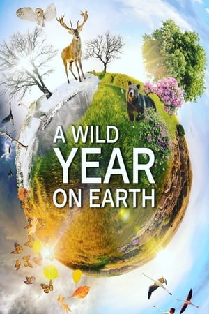 donde ver a wild year on earth