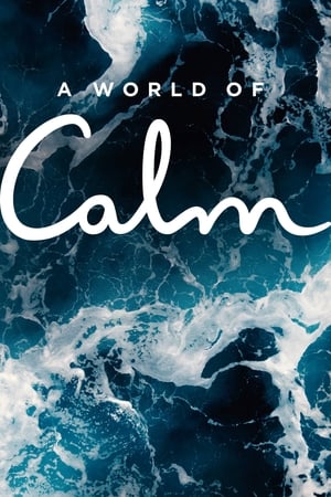 donde ver a world of calm